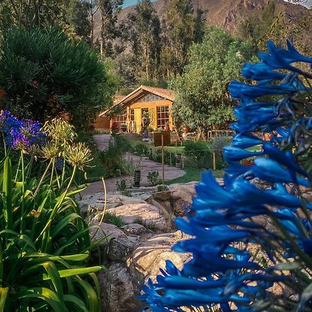 Andean Wings Valley Urubamba Extérieur photo