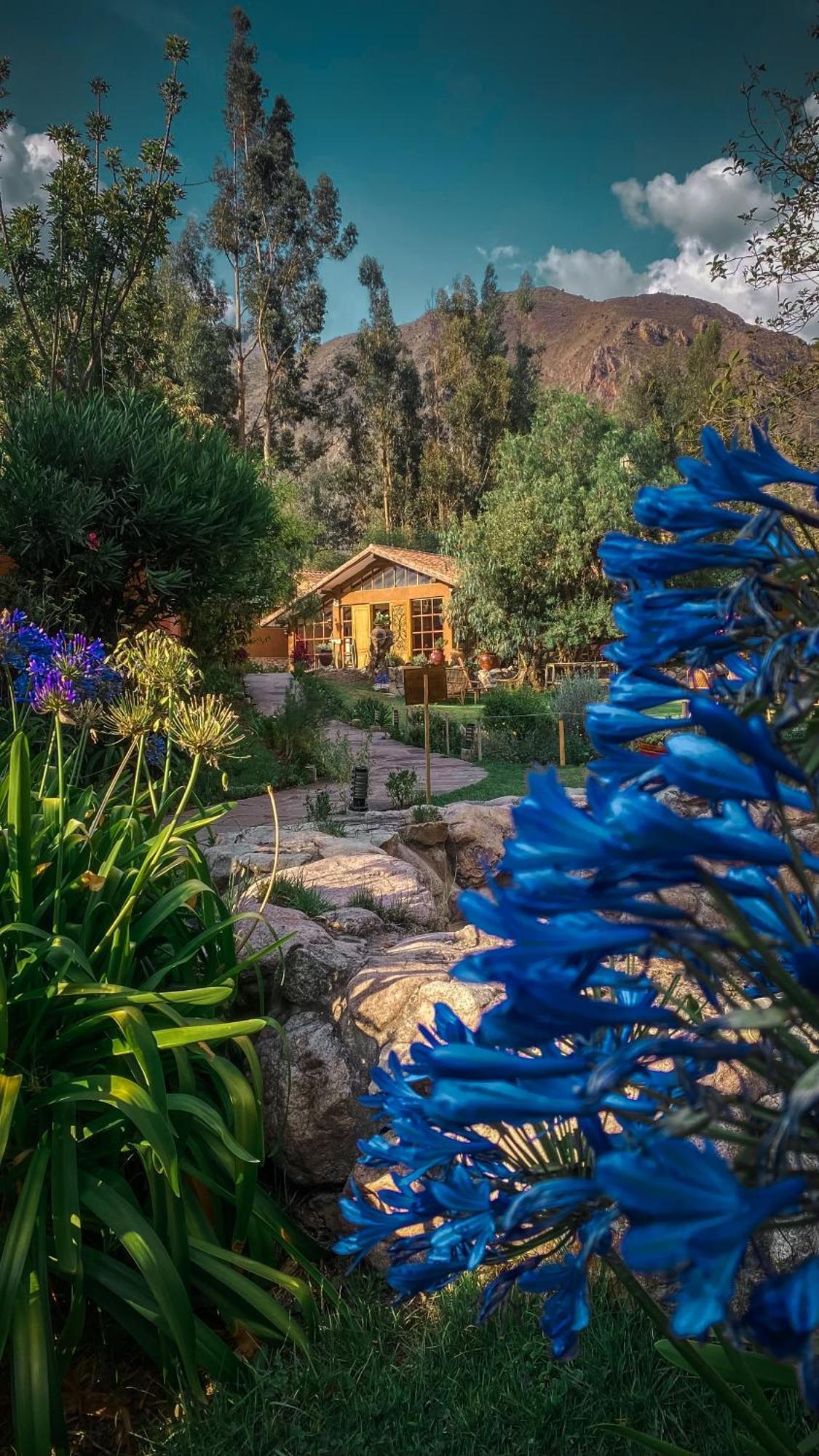 Andean Wings Valley Urubamba Extérieur photo