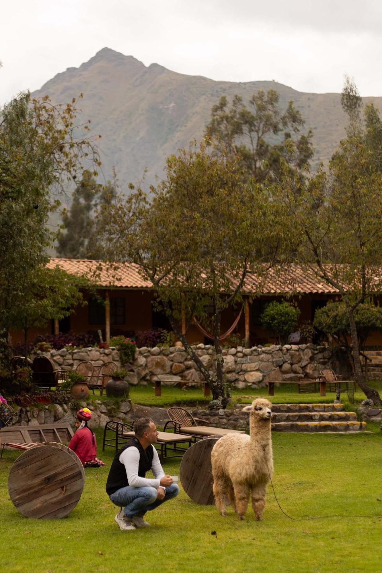 Andean Wings Valley Urubamba Extérieur photo